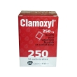 Clamoxyl 250 - 1