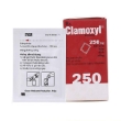 Clamoxyl 250 - 4