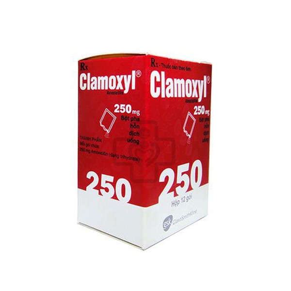 Clamoxyl 250 - 5