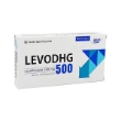 LevoDHG 500 - 1