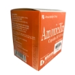 Amoxicillin 500 ấn - 3