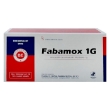 Fabamox 1000 DT - 1