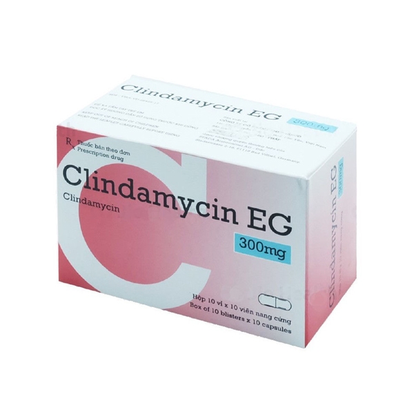 Ảnh của Thuốc kháng sinh Clindamycin EG- Hộp 10 vỉ 10 viên 