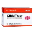 Bát vị Kidneycap - 1