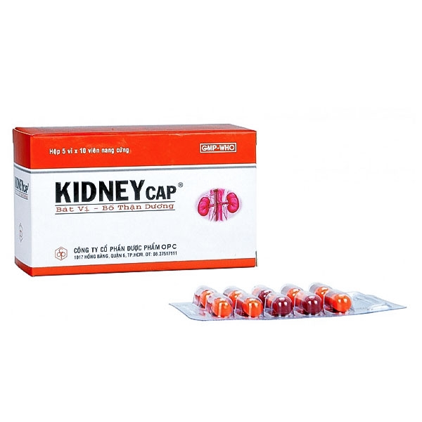 Bát vị Kidneycap - 2