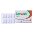 Growsel - 1
